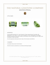 6.41 Ct. Yellowish Green Tourmaline from Ceylon (Sri Lanka) Appraisal