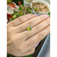 4.67 Ct. Yellowish Green Zircon from Ceylon (Sri Lanka) Life Style