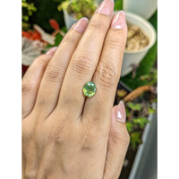 3.85 Ct. Yellowish Green Zircon from Ceylon (Sri Lanka) Life Style