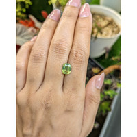 3.02 Ct. Yellowish Green Zircon from Ceylon (Sri Lanka) Life Style