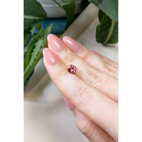 1.45 Ct. Tourmaline from Brazil Life Style