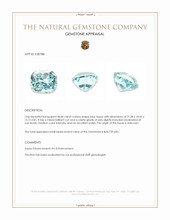 48.68 Ct. Blue Topaz Appraisal