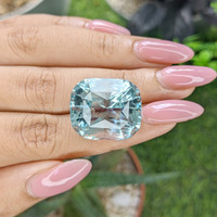 48.68 Ct. Blue Topaz Life Style