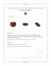 Jewelry Appraisal