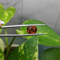 5.59 Ct. Brown Tourmaline from Africa Life Style