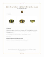 2.04 Ct. Olive Green Andradite Garnet from Madagascar Appraisal