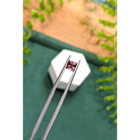 0.60 Ct. Pink Tourmaline from Brazil Life Style