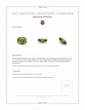 Jewelry Appraisal