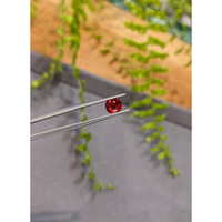 1.29 Ct. Red Spinel from Burma (Myanmar) Life Style