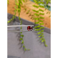 2.01 Ct. Red Spinel from Burma (Myanmar) Life Style