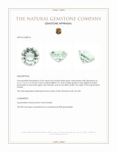 14.30 Ct. Bluish Green Aquamarine from Brazil Appraisal