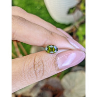 1.50 Ct. Yellowish Green Zircon from Ceylon (Sri Lanka) Life Style