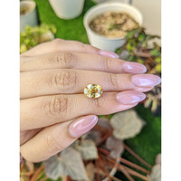 5.38 Ct. Brownish Yellow Zircon from Ceylon (Sri Lanka) Life Style