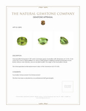 7.89 Ct. Green Tourmaline from Brazil Appraisal