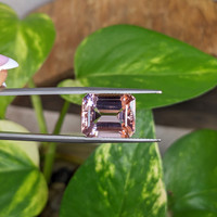 8.05 Ct. Pink Morganite from Brazil Life Style