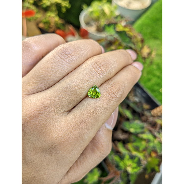1.46 Ct. Yellowish Green Peridot from Pakistan