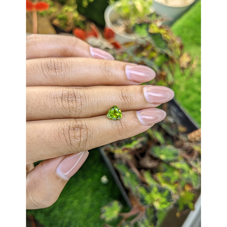 1.46 Ct. Yellowish Green Peridot from Pakistan