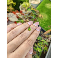 1.38 Ct. Yellowish Green Peridot from Pakistan Life Style