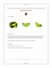 3.32 Ct. Yellowish Green Peridot from Pakistan Appraisal