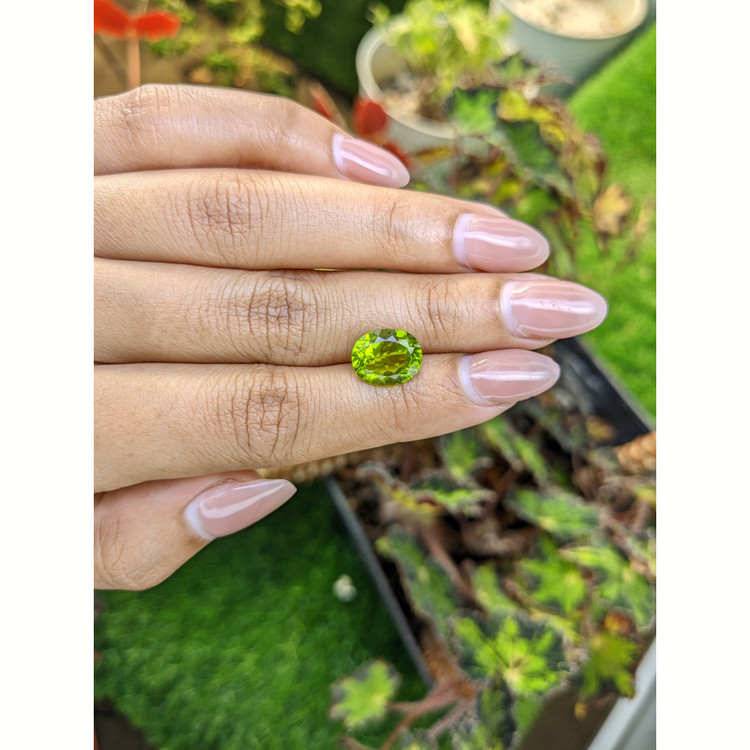 4.20 Ct. Yellowish Green Peridot from Pakistan
