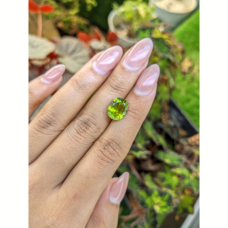 4.20 Ct. Yellowish Green Peridot from Pakistan