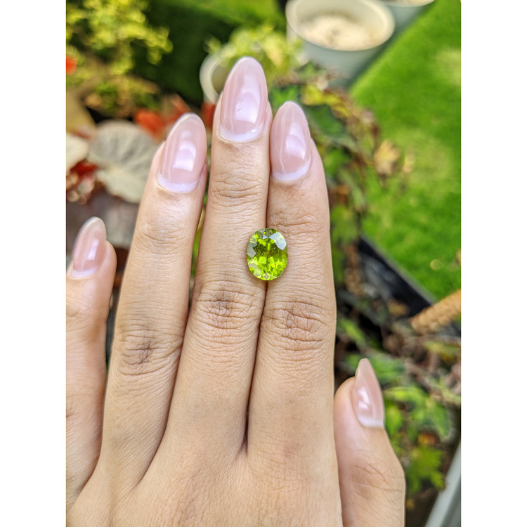 4.24 Ct. Yellowish Green Peridot from Pakistan