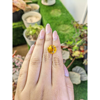 6.03 Ct. Yellow Citrine from Brazil Life Style