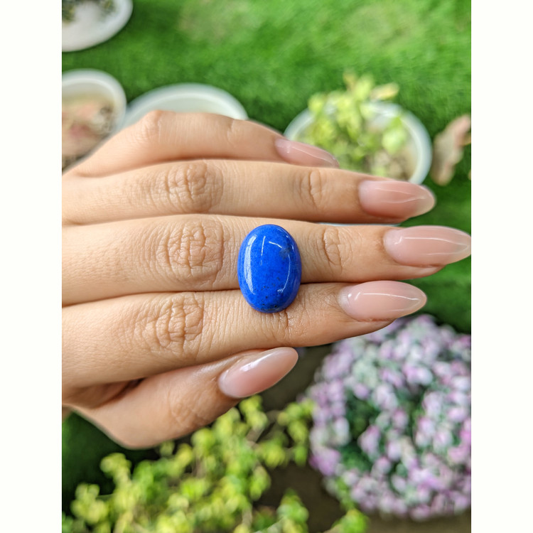 11.50 Ct. Cabochon Lapis from Afghanistan