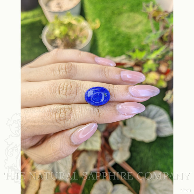 10.98 Ct. Cabochon Lapis from Afghanistan