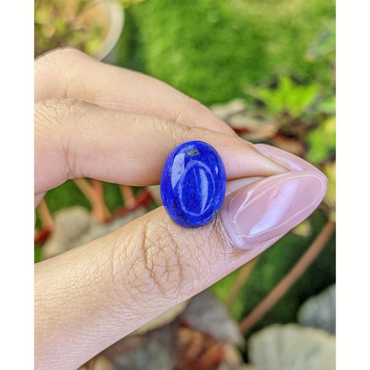 10.98 Ct. Cabochon Lapis from Afghanistan