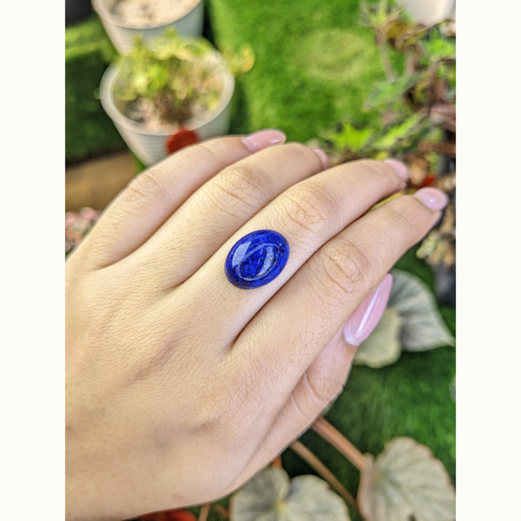 10.33 Ct. Cabochon Lapis from Afghanistan