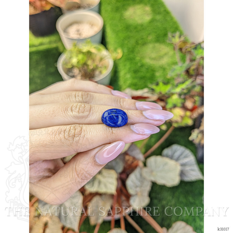 10.86 Ct. Cabochon Lapis from Afghanistan