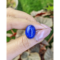 10.98 Ct. Cabochon Lapis from Afghanistan Life Style