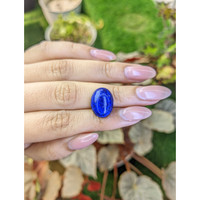 10.98 Ct. Cabochon Lapis from Afghanistan Life Style