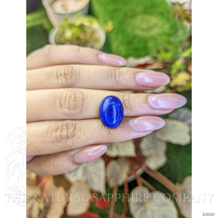 10.98 Ct. Cabochon Lapis from Afghanistan