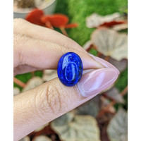 12.16 Ct. Cabochon Lapis from Afghanistan Life Style
