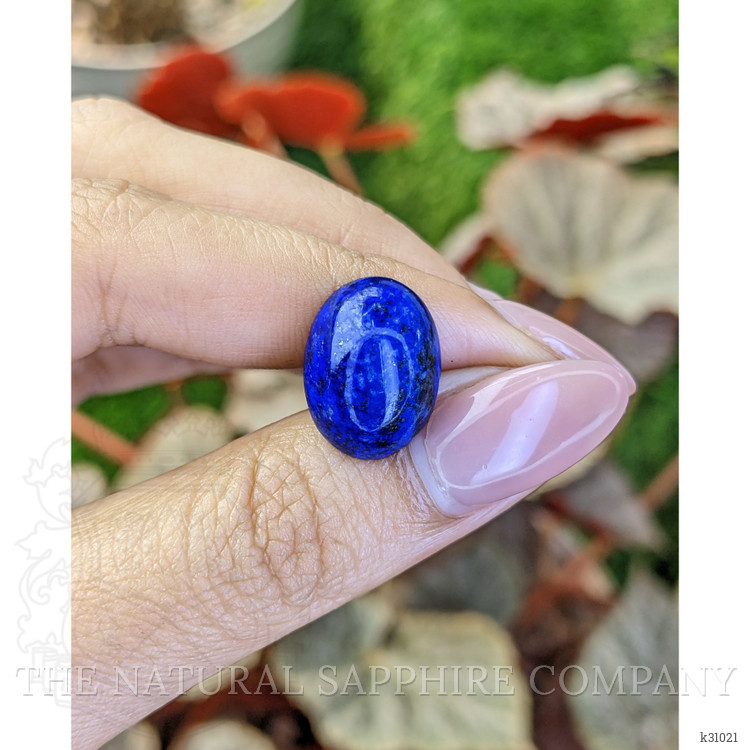 12.16 Ct. Cabochon Lapis from Afghanistan