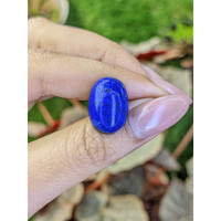16.73 Ct. Cabochon Lapis from Afghanistan Life Style
