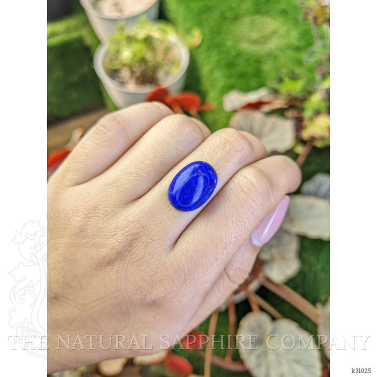 16.73 Ct. Cabochon Lapis from Afghanistan