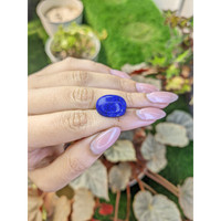 16.73 Ct. Cabochon Lapis from Afghanistan Life Style