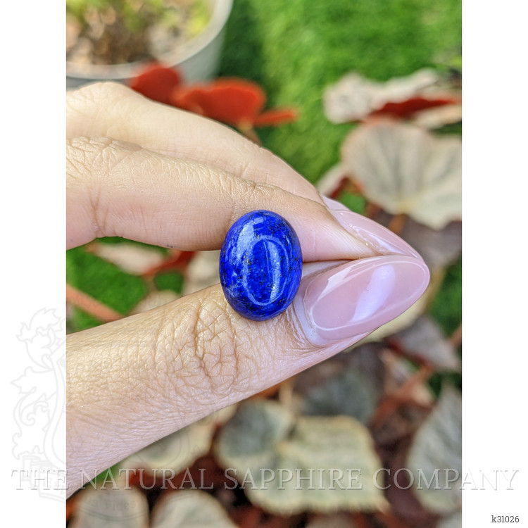 12.70 Ct. Cabochon Lapis from Afghanistan