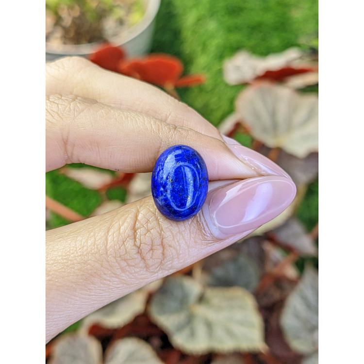 12.70 Ct. Cabochon Lapis from Afghanistan