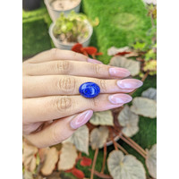 12.70 Ct. Cabochon Lapis from Afghanistan Life Style