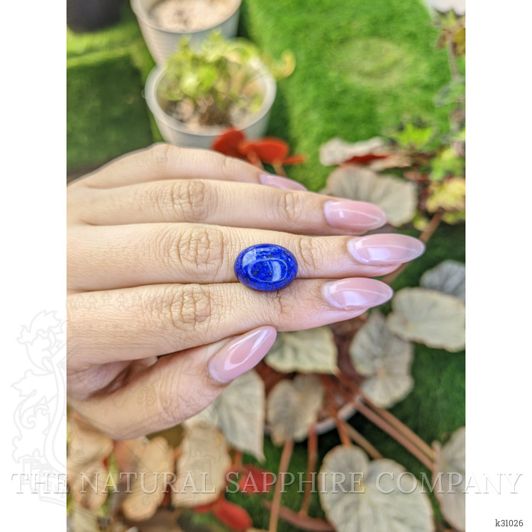 12.70 Ct. Cabochon Lapis from Afghanistan
