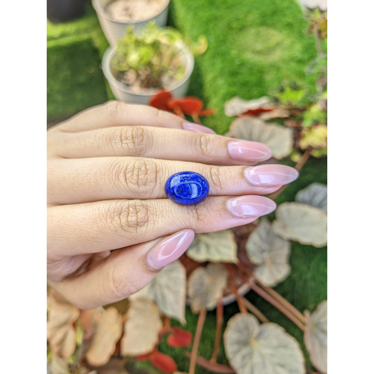 12.70 Ct. Cabochon Lapis from Afghanistan