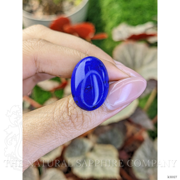 15.91 Ct. Cabochon Lapis from Afghanistan