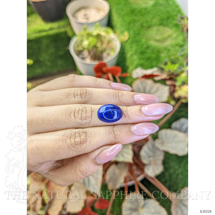 10.64 Ct. Cabochon Lapis from Afghanistan