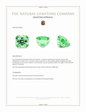 0.48 Ct. Tsavorite Garnet from Tanzania Appraisal