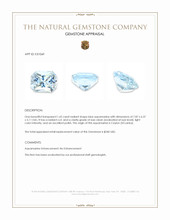 1.65 Ct. Blue Aquamarine from Ceylon (Sri Lanka) Appraisal