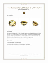 201.37 Ct. Yellow Citrine from Ceylon (Sri Lanka) Appraisal